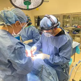 Dr. Daniel Ormeni performing oral surgery with Dr. Ardita Ormeni assisting.

Park Family Dental - Cosmetic, Oral Surgery & Implant Center
111 N Vista Ridge Blvd #101, Cedar Park, TX 78613
(512) 250-2356
https://parkfamilydentist.com