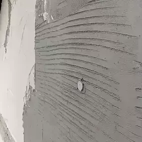 Bild von ERS Scotland