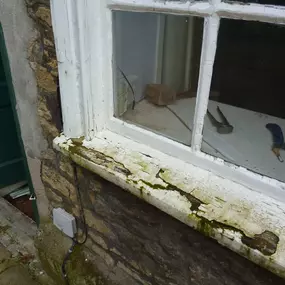 Bild von Sash Windows TLC