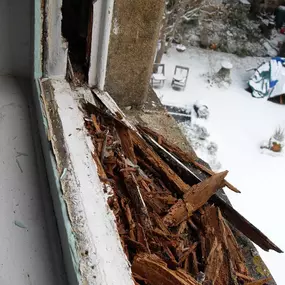 Bild von Sash Windows TLC