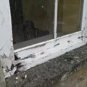 Bild von Sash Windows TLC