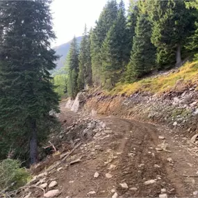 Bild von Erdbau Arnold Ritzinger