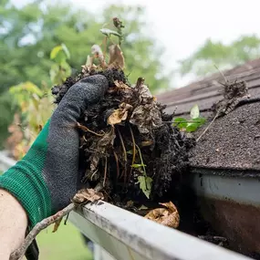 Roof and gutter cleaning