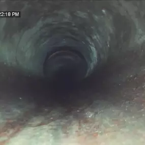 Bild von DBS Plumbing Solutions