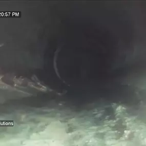 Bild von DBS Plumbing Solutions