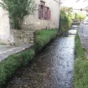 rio4.jpg