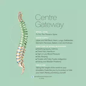 Bild von Forever Flow Health & Wellness Centre