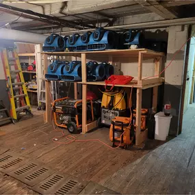 Whac A Mold Equipment