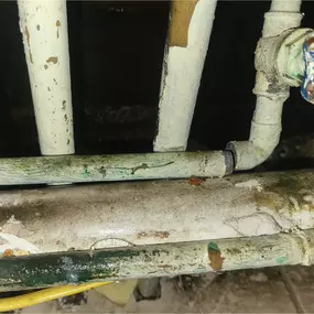 mold in a Brooklyn, NY Home