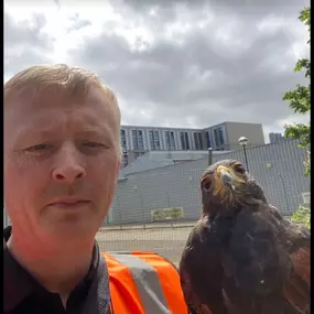 Bild von Rapid Response Pest Control