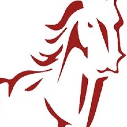 Logotyp från Mustang Investments GmbH