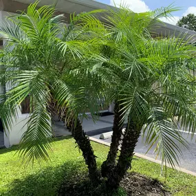 Turning Point of Tampa Detox facility in Town 'n' Country, FL