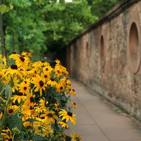 Bild von Lifeaholics