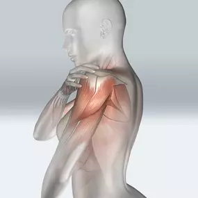 Bild von Apex Physical Rehabilitation & Wellness - Missouri City, TX