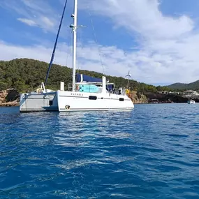 Bild von Prima Boats