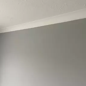Bild von Lilac Painting & Decorating