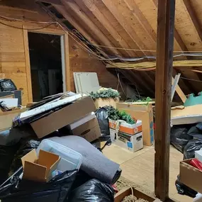 Bild von Junk Rx Acadiana