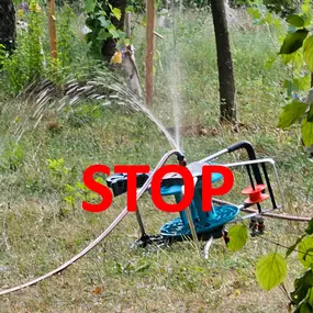 Bild von Art'rosage Sàrl