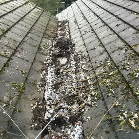 Bild von Envirofresh Solutions Ltd