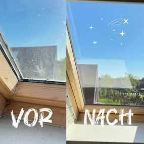 Bild von DK - Multiservice Reinigung
