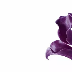 Bild von Blumen Kronenberg