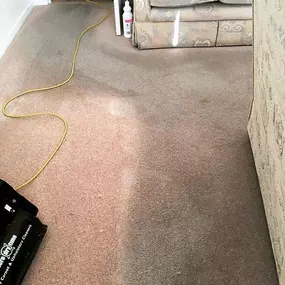 Dry Carpet Cleaning