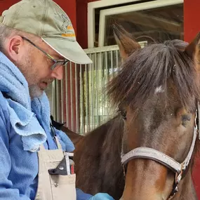 Bild von Andreas Brückner Barhufbearbeitung