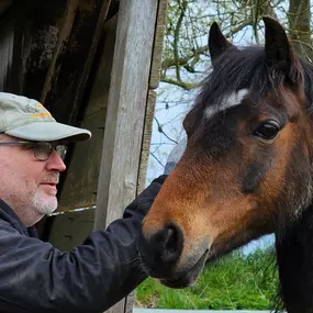Bild von Andreas Brückner Barhufbearbeitung