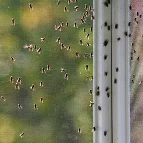 Bild von Paul's Pest Control Services