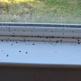 Bild von Paul's Pest Control Services