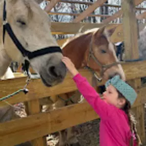 Bild von Jim Thorpe Horse Adventures