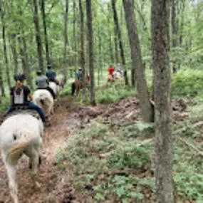 Bild von Jim Thorpe Horse Adventures