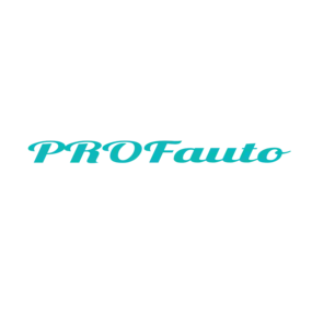 Bild von Profauto Equipments, S.L.
