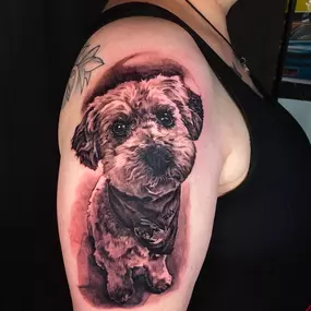 Bild von Bloody Dogs Tattoo & Piercing Inh. Robert Pongrácz