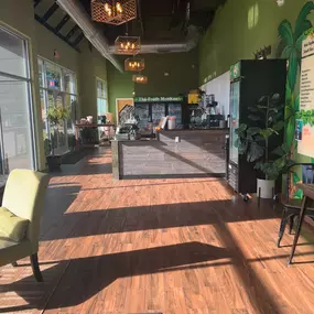 Bild von Fresh Monkee - Glastonbury