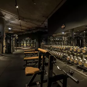 Fitness First München DER Bogen - Freihantelbereich