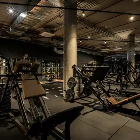 Fitness First München DER Bogen - Plate-loaded Machines