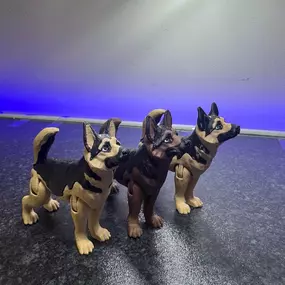 Bild von The Dream Factory 3D
