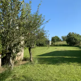 Bild von BELLOY CHRISTEL Conseillère en immobilier SAFTI sur BARST -MARIENTHAL & tous les environs.