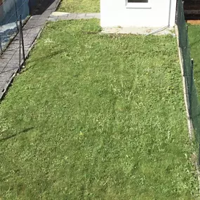 Bild von BELLOY CHRISTEL Conseillère en immobilier SAFTI sur BARST -MARIENTHAL & tous les environs.