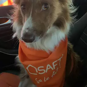 Bild von BELLOY CHRISTEL Conseillère en immobilier SAFTI sur BARST -MARIENTHAL & tous les environs.