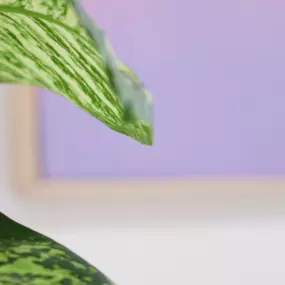 Bild von Aaron Sehn Physiotherapie & Training