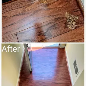 Bild von Floor Coverings International of Bowie, MD
