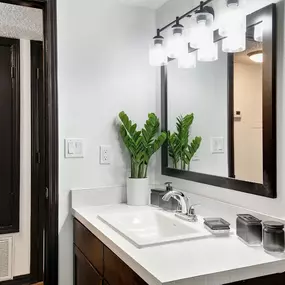 A bathroom with a sink and a mirror