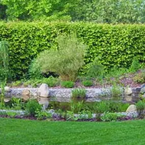 Teichbau
