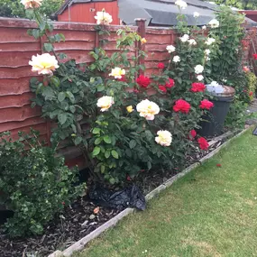 Bild von Inayah School of Motoring