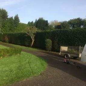 Bild von S. Preece Garden Services & Maintenance