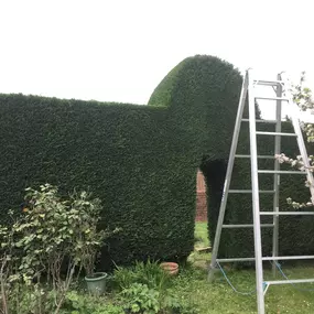 Bild von S. Preece Garden Services & Maintenance