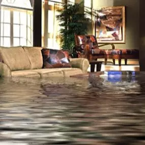 Bild von Gil's A Action Restoration and carpet cleaning LLC