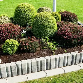 Bild von Silber Garten- und Landschaftsbau